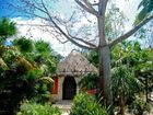 фото отеля Dos Ceibas Posada Ecologica