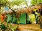 фото отеля Dos Ceibas Posada Ecologica