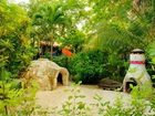 фото отеля Dos Ceibas Posada Ecologica