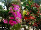 фото отеля Dos Ceibas Posada Ecologica