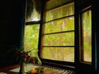 фото отеля Dos Ceibas Posada Ecologica