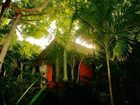 фото отеля Dos Ceibas Posada Ecologica