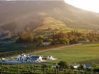 Zorgvliet Vineyard Lodge Stellenbosch
