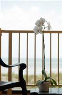 фото отеля BEST WESTERN Oceanfront