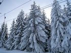 фото отеля CD Vital Hotel Tirol Jungholz
