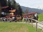 фото отеля Zauchtaler Hof