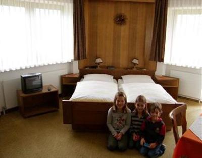 фото отеля Wildschutz Apart Pension
