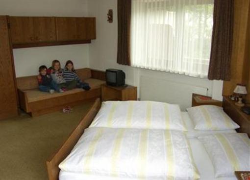 фото отеля Wildschutz Apart Pension