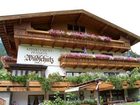 фото отеля Wildschutz Apart Pension