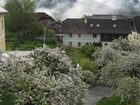 фото отеля Altes Pfarrhaus