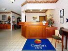 фото отеля Comfort Inn Luverne
