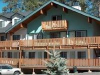 Honey Bear Lodge & Cabins