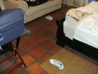 фото отеля Orange-Ville Guesthouse