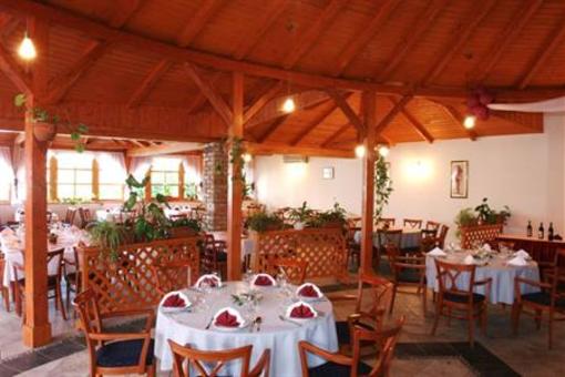 фото отеля Hotel Villa Volgy Wellness & Konferencia