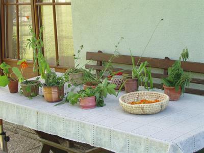 фото отеля Bio Bauernhof Maurerwolferl