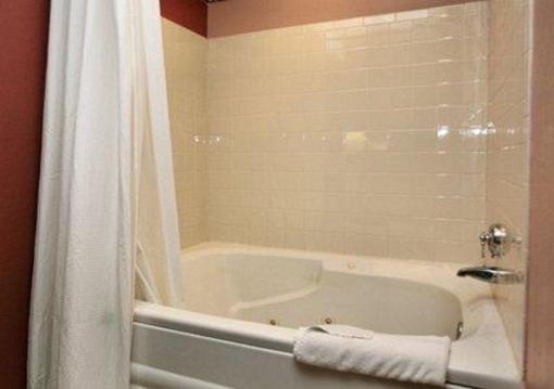 фото отеля Econo Lodge & Suites Brooks