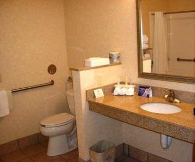 фото отеля Holiday Inn Express Hotel & Suites Carter Lake
