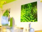 фото отеля Greenrooms