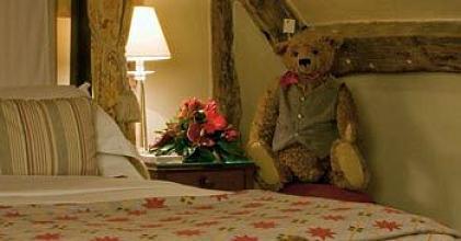 фото отеля Macdonald Bear Hotel