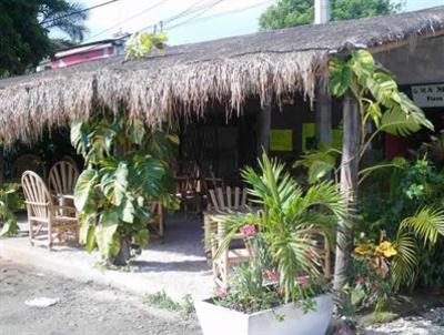 фото отеля Pacha Tulum