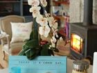 фото отеля Solar Egas Moniz-Charming House & Local Experiences