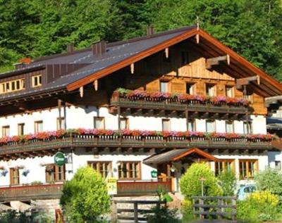 фото отеля Gasthof Friedlwirt