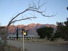 фото отеля Rustic Oasis Motel
