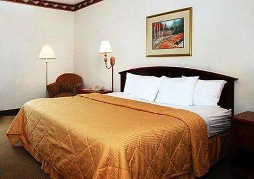 фото отеля Comfort Inn Blythewood