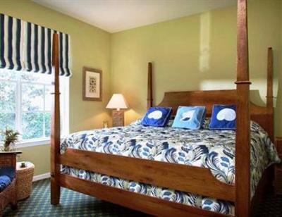 фото отеля South Lake Buena Vista Suites at Calypso Cay Resort