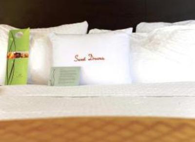 фото отеля Doubletree New Orleans Airport