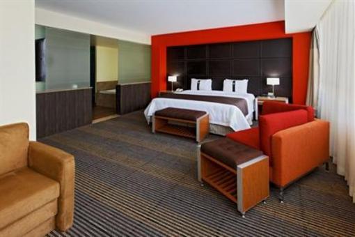 фото отеля Holiday Inn Mexico City Plaza Universidad