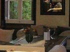 фото отеля La Mistralee