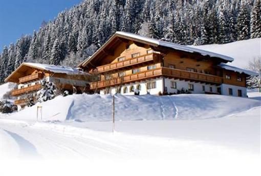 фото отеля Alpin Apartments Flachau
