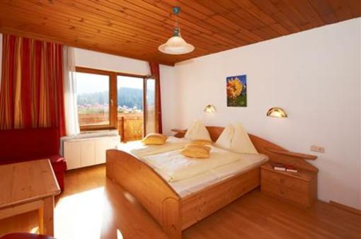 фото отеля Alpin Apartments Flachau