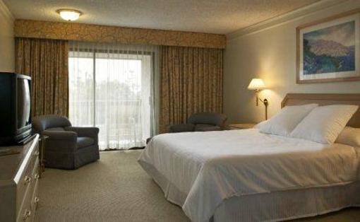 фото отеля Hilton Garden Inn Los Angeles Marina Del Rey