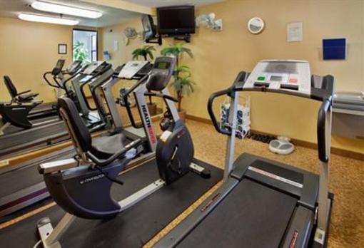 фото отеля Holiday Inn Express Hotel & Suites Fenton (Missouri)