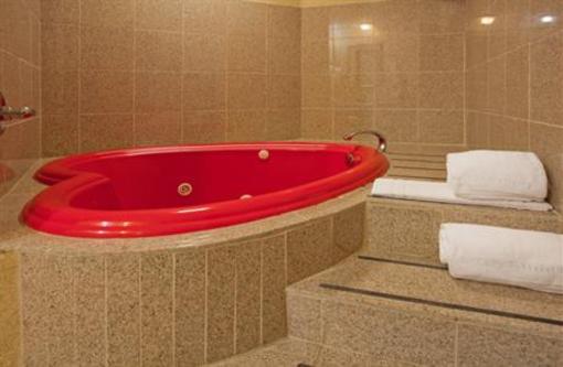 фото отеля Holiday Inn Express Hotel & Suites Fenton (Missouri)