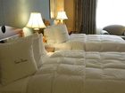 фото отеля Doubletree Inn at The Colonnade