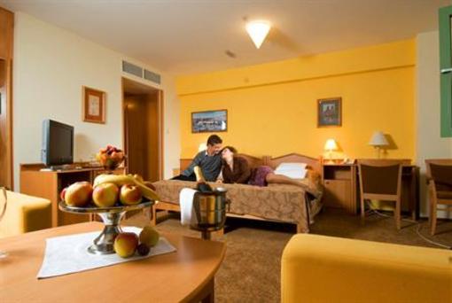 фото отеля Hotel Szent Janos Mohacs