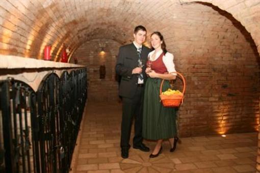 фото отеля Hotel Gasthof Vinothek Sommer Felix Auersthal