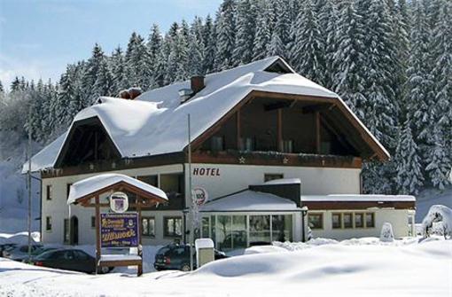 фото отеля Sporthotel Mirnock