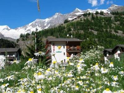 фото отеля Adler Hotel Saas-Grund