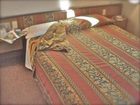 фото отеля Italia Hotel Milan