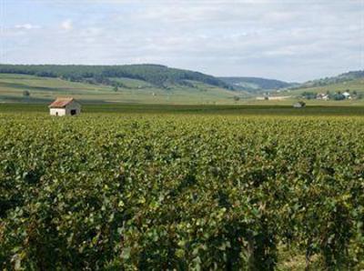фото отеля Ermitage de Corton