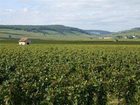 фото отеля Ermitage de Corton