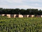 фото отеля Wohnothek am Ratschen