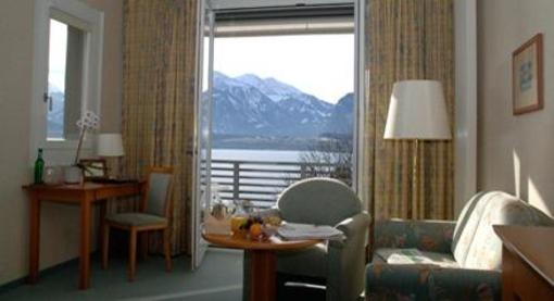 фото отеля Hotel Schonbuhl