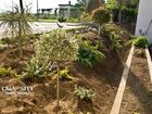 фото отеля Pension Casa Cu Stuf