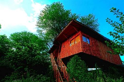 фото отеля The Tree House Resort