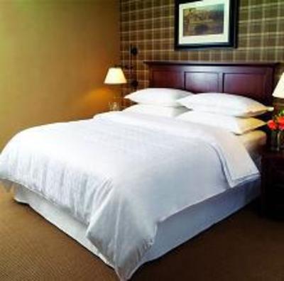 фото отеля Sheraton San Diego Hotel, Mission Valley